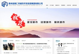 静海城市开发投资集团有限公司